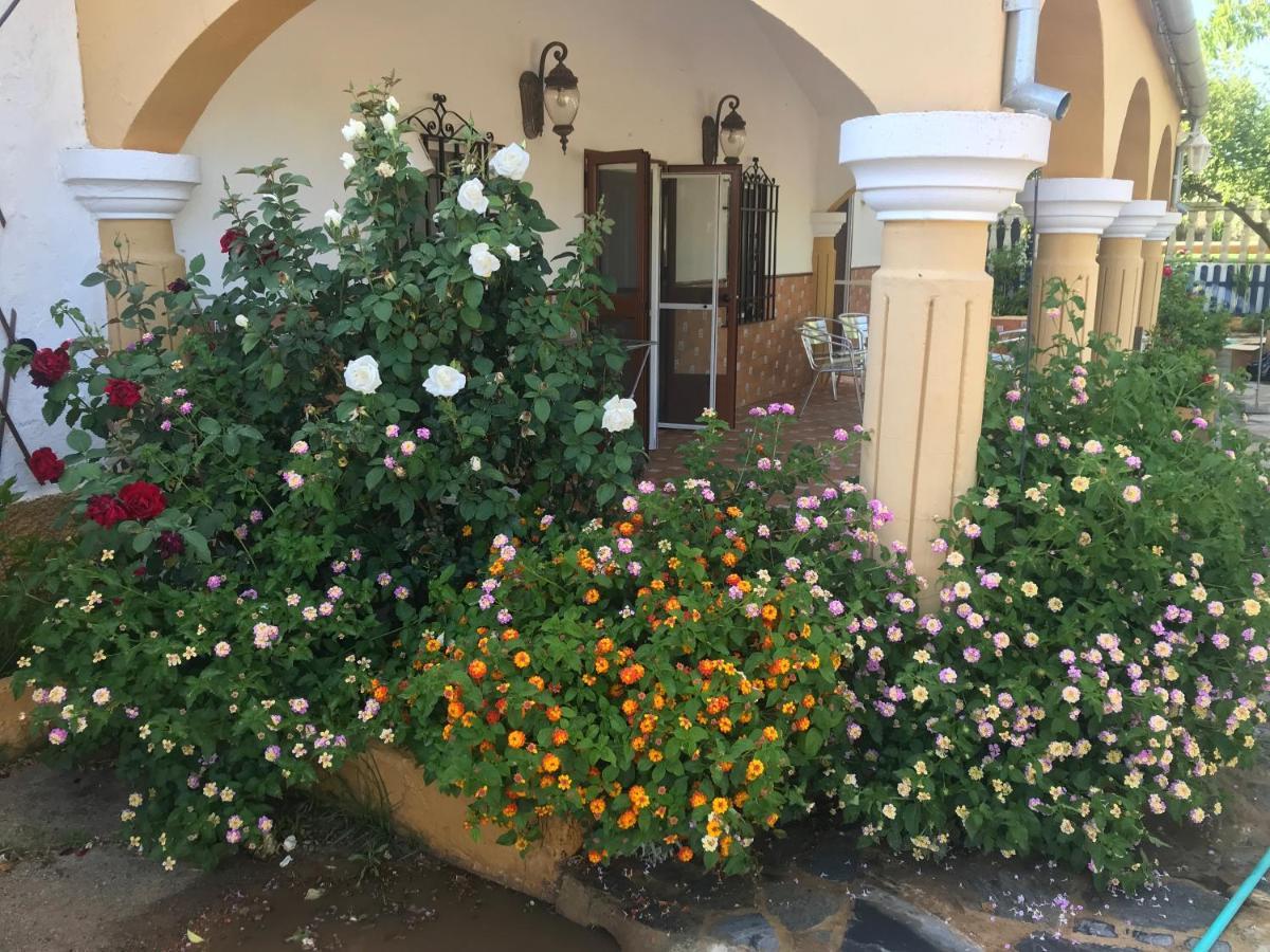 Finca La Rosalia Setenil De Las Bodegas Екстер'єр фото